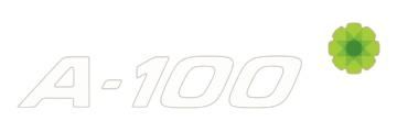 А100